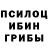 Псилоцибиновые грибы прущие грибы Nikolay Kuybishev