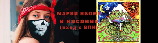 мдпв Арсеньев