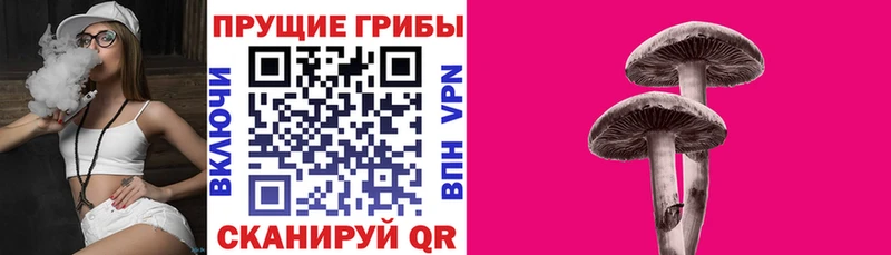 Псилоцибиновые грибы Magic Shrooms  Карабаш 